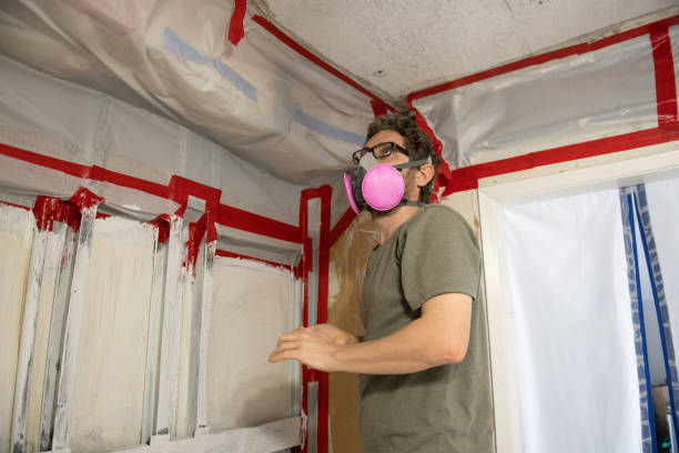 Trusted Sheridan, AR Mold Removal Experts